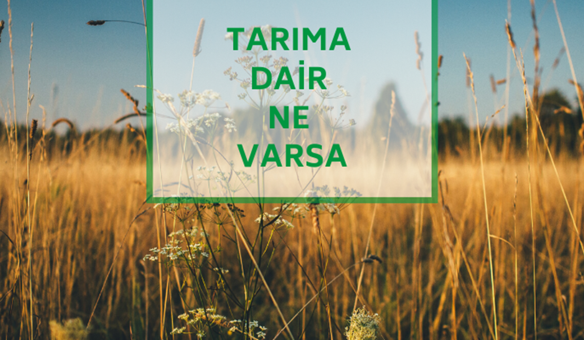 tarimtr