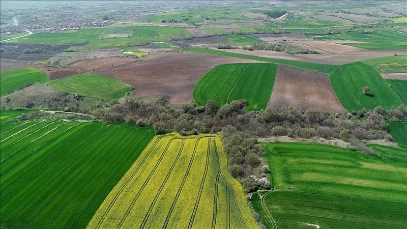Tarım arazileri boş kalmayacak: 1 Eylül'de yeni dönem başlıyor!