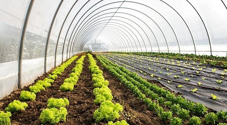 15. Adana Tarım ve Sera Bahçe Fuarı, 1 Kasım'da açılacak