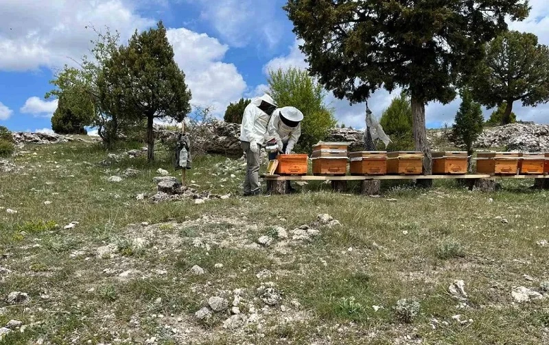 15 üreticiye ücretsiz 105 arı kovanı dağıtıldı