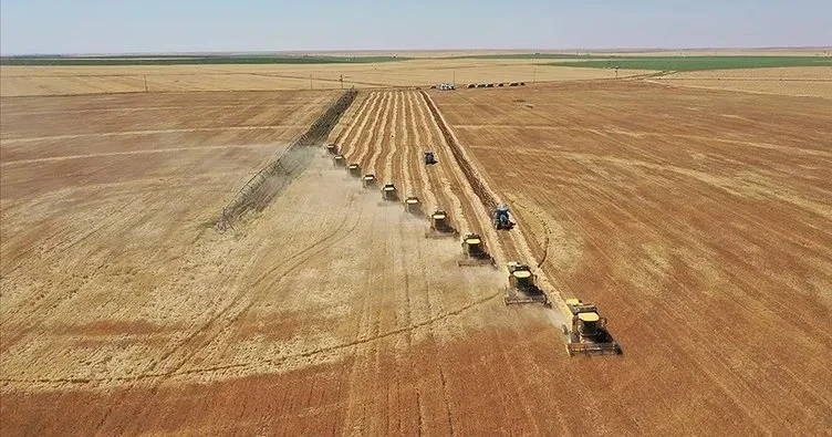 4. Tarım Orman Şurası için geri sayım başladı