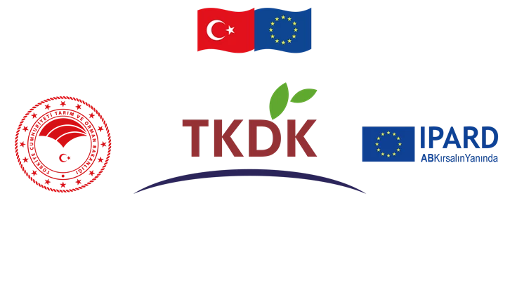 493 projeye 875 milyon lira hibe edilecek