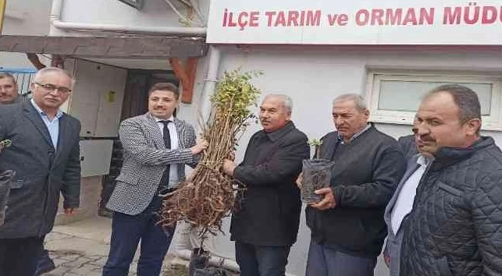 90 üreticiye 22 bin 500 adet sumak fidanı dağıtıldı