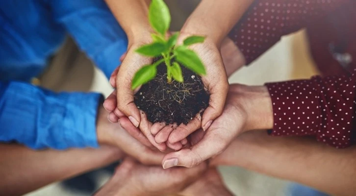 Ağaç dikme seferberliğine 30 ülkeden destek