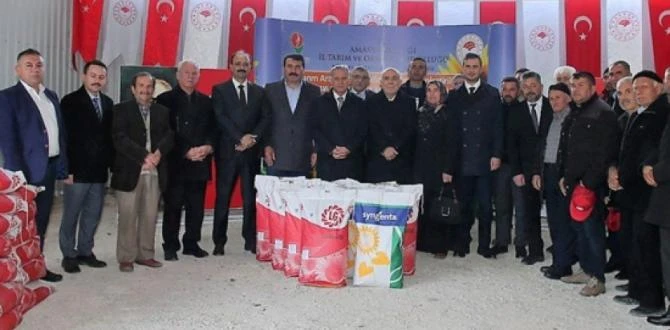 Amasya'da çiftçilere ayçiçeği tohumu dağıtıldı