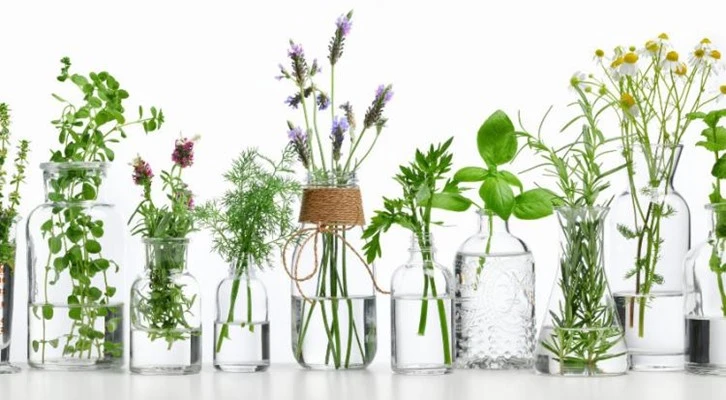 Bakan Pakdemirli’den 22 Mayıs Uluslararası Biyolojik Çeşitlilik Günü mesajı