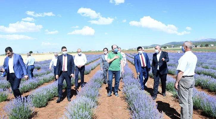 Başkan Altay: Güneysınır Lavantasını marka yapmak istiyoruz