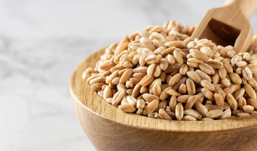 Buğday üretimine Alman devinden destek geliyor