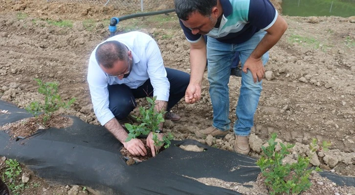 Bursa Büyükşehir Belediyesi çiftçinin yanında
