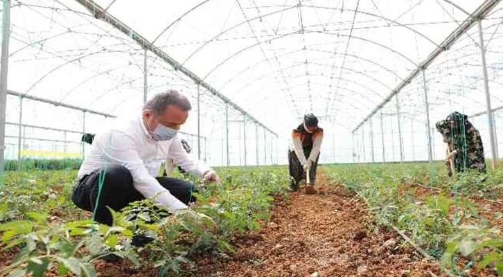 Büyükşehir'den mevsimlik tarım işçilerine destek