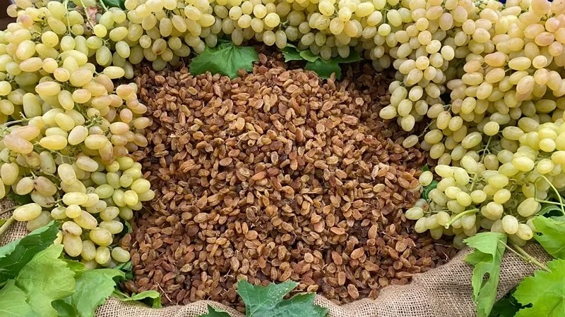 Çekirdeksiz ihracatta Türkiye 'en'leri yaşadı