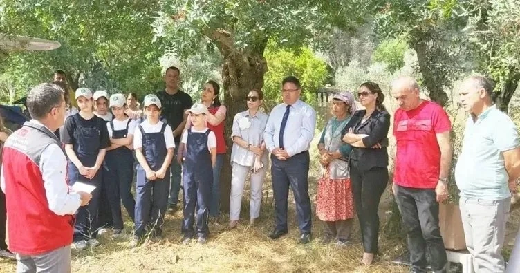 Coğrafi işaretli Marmaris Yer Fıstığı ekimi yapıldı