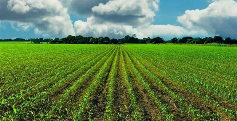 Denizli'li üreticilere 9.9 milyonluk destek