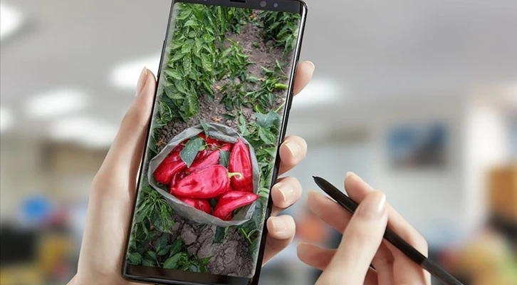 DİTAP ile üreticinin de tüketicinin de yüzü gülecek