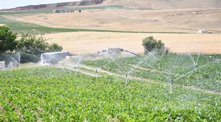 Elazığ'da 114.980 dekar tarım arazisi sulanmaya başladı