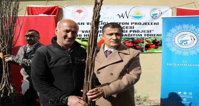 Erciş'te yetiştiricilere 25 bin meyve fidanı dağıtıldı