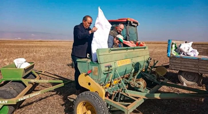 Eskişehir'de 44 çeşit yerli ve milli tohum yeşerecek