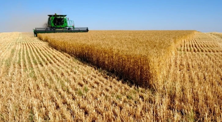 Fahiş fiyatlara karşı sözleşmeli tarım