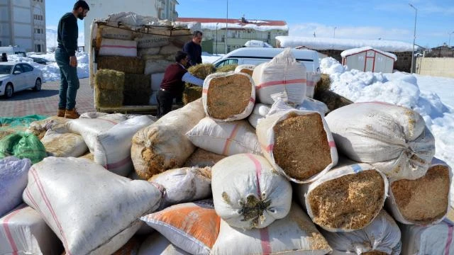 Gaziantep'te depremzede çiftçilere 2 bin ton yem desteği