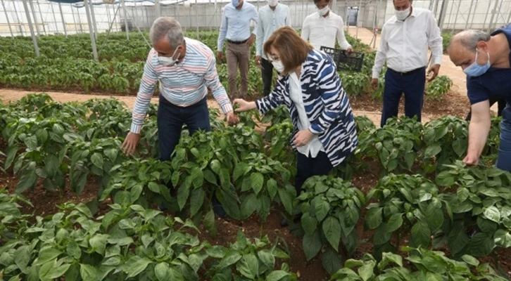 Gaziantep'te 'Tarımsal Eğitim ve Yöresel Ürünler İşleme Merkezi' ilk ürününü verdi