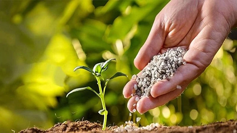 Gübre ihracatında sevindirici artış!