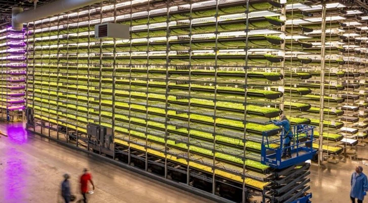 HGT Tarım, 1 milyon metrekareye dikey tarım fabrikası kuruyor