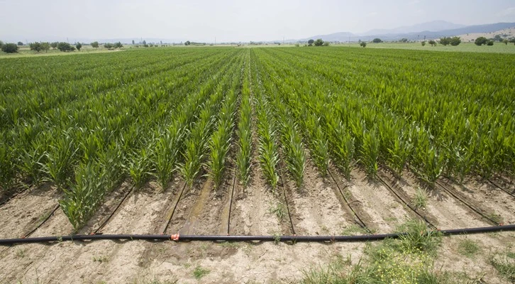 İEKKK’da tarım ve kooperatifleşme masaya yatırıldı