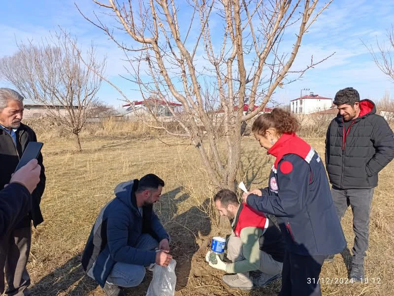 Iğdır'da tarlafaresiyle mücadele seferberliği başlatıldı