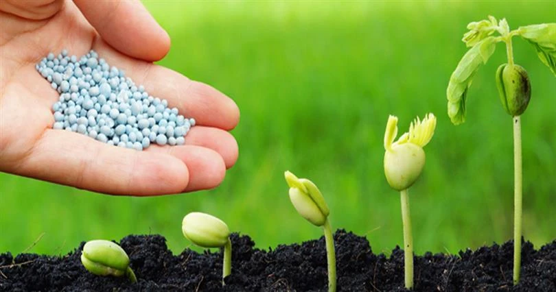 İmkanı olan çiftçi taban gübresini şimden alsın fiyatlar yükseliyor!