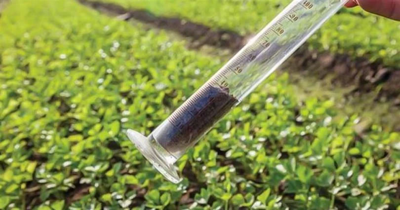 İstanbul tarımda hedef büyüttü: Çiftçilere toprak analiz desteği