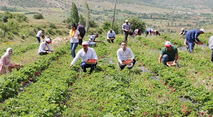 Elazığ'da örnek bir 'Genç Çiftçi'