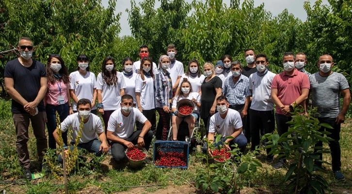 İzmir'de 459 gönüllü 95 üreticinin bahçesindeki kiraz hasadında görev aldı