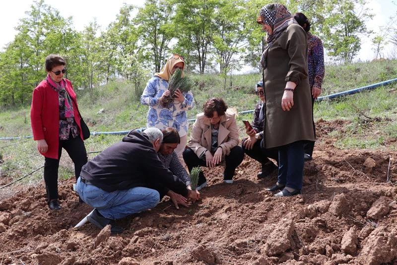 Kadın Çiftçiler tarımsal yeniliklerle buluşuyor