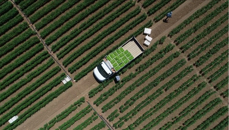 Kanada tarım sektörünün 30 bin yeni çiftçiye ihtiyacı var