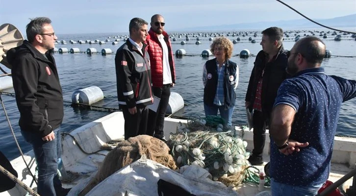 Karadeniz'de ilk defa midye yetiştiriciliği Sinop'ta başladı