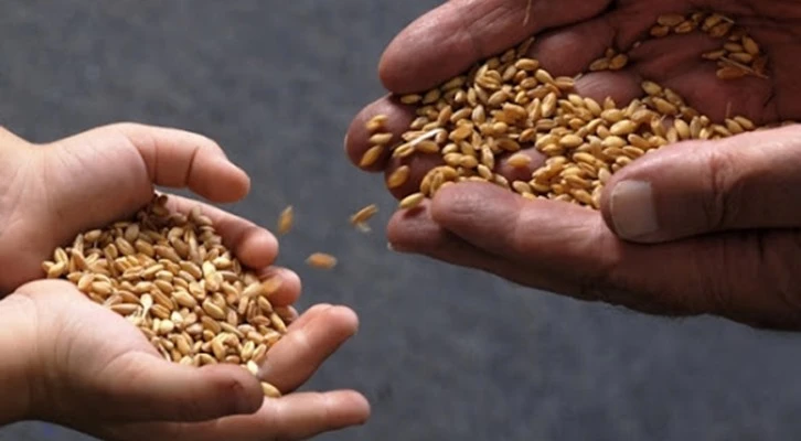 Kaybolmaya yüz tutmuş yerel tohumlar devlet korumasında