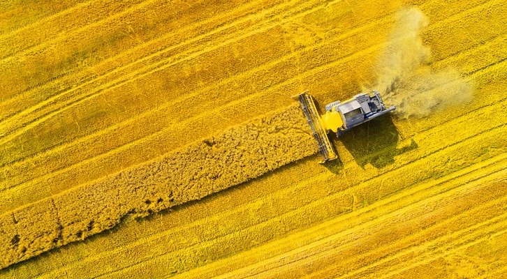 Kırsal kalkınma yatırımlarına yüzde 50 hibe desteği