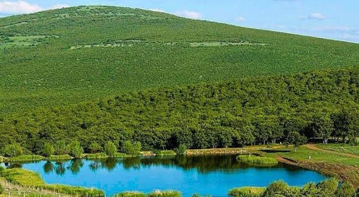 Kırşehir'in meşe ormanıyla kaplı küçük ilçesi: Akçakent