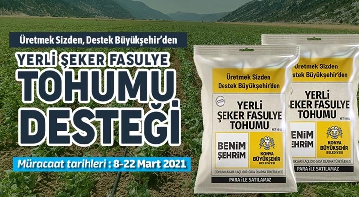 Konya Büyükşehir’den üreticiye yerli şeker fasulye tohumu desteği