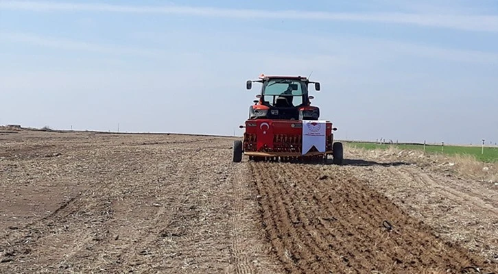 Konya'da sertifikalı organik tohum üretimi başladı