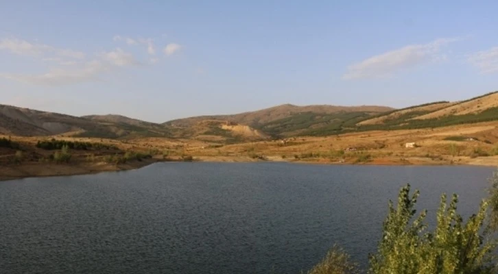 Konya’da tarımsal sulama destekleriyle endemik bitkiler yetişiyor