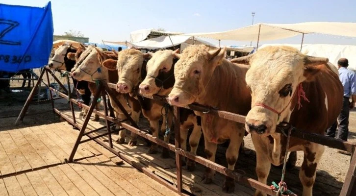 Kurbanlık satış yerlerinde koronavirüs düzenlemesi
