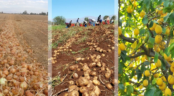 “Kuru soğan, patates ve limonda ihracata getirilen kısıtlama kaldırılmalıdır”