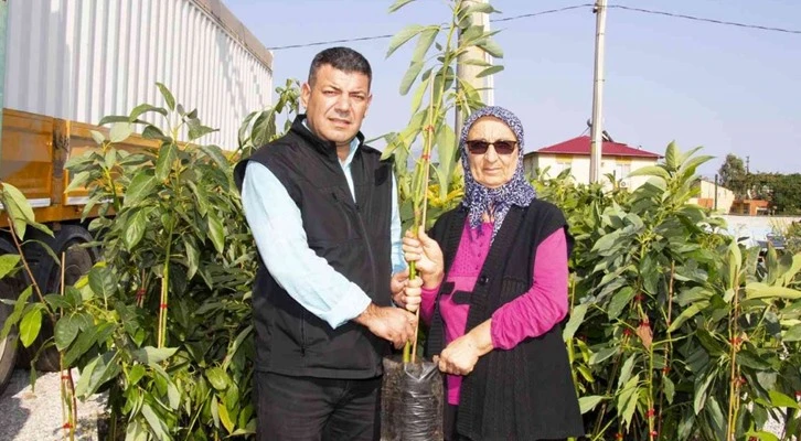 Mersin’de avokado fidanı dağıtımının ikinci etabı tamamlandı