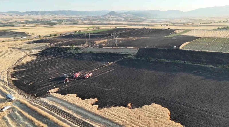 Merzifon'da yangın: 80 dönüm tarım arazisi zarar gördü