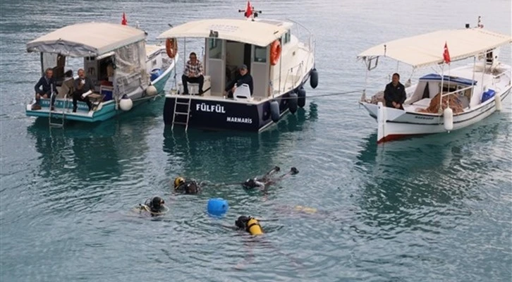 Muğla sularına 60 bin yavru balık bırakıldı