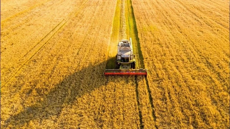 MÜSİAD, 15. Gıda ve Tarım Sektör Raporu'nu yayımladı