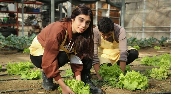 Nilüfer Belediyesi ekolojik tarım koşullarında ürünler yetiştirdi