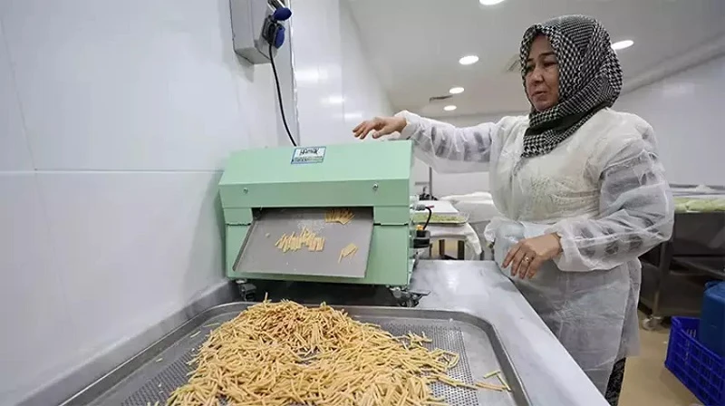 Nilüfer çiftçisi üretecek İstanbul ve Eskişehir tüketecek