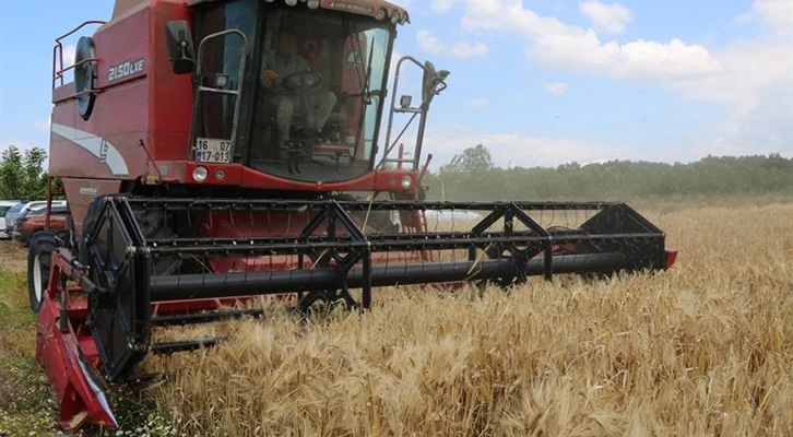 Nilüfer’de arpa demonstrasyon çalışmaları devam ediyor